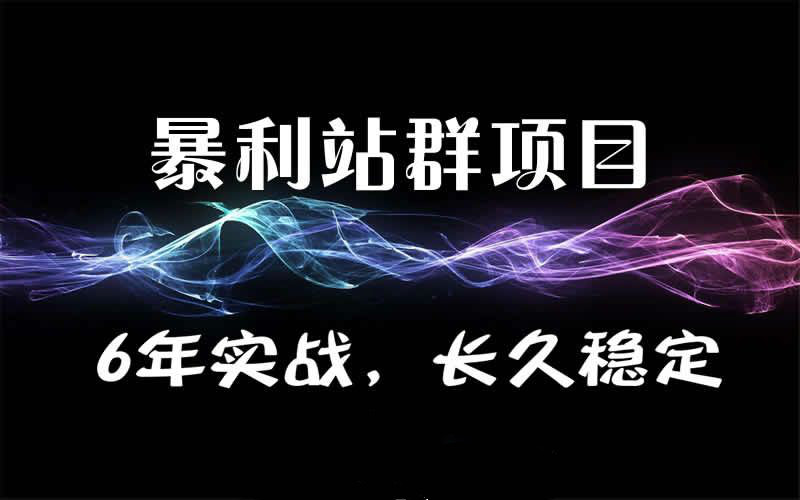 暴疯团队站群SEO赚钱项目 公众号赚钱项目课