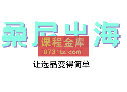 桑尼出海跨境选品课，价值4999元