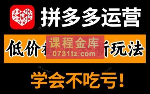 王校长·拼多多实操课程（更新4月）