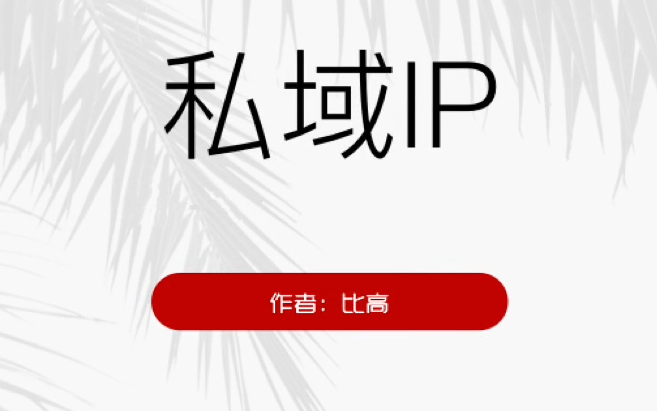 比高·私域IP引流变现，价值498元