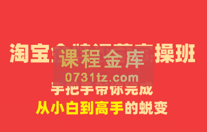 清杨老师·淘宝金牌运营实操班，价值8980元