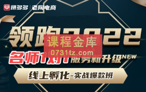 老陶·领跑2022拼多多VIP课程【更新12月】