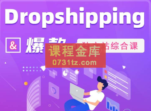 Daniel老师·Dropshipping&#038;爆款独立站综合课，价值4399元