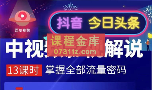 嚴如意·中视频影视解说&#8212;掌握流量密码，价值980元