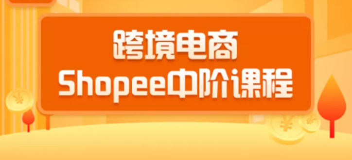 千鸟跨境：跨境电商蓝海新机会-shopee中阶课程(价值3900)