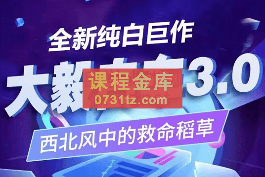 大毅电商·纯白巨作，白搜3.0，价值1480元