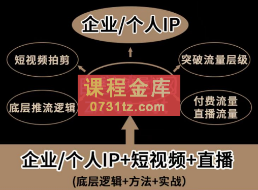 张越·自然流三频共振起号（短视频+直播），价值2980元