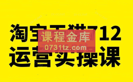 蒋晖·淘宝天猫712运营实操课（更新23年11月）