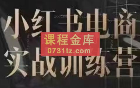 余文·小红书电商实战训练营（更新24年6月）