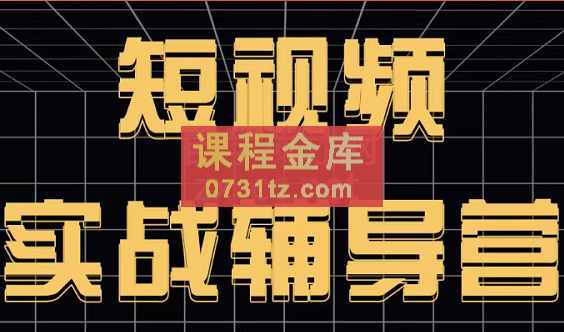 达人队长·短视频实战辅导营，价值399元