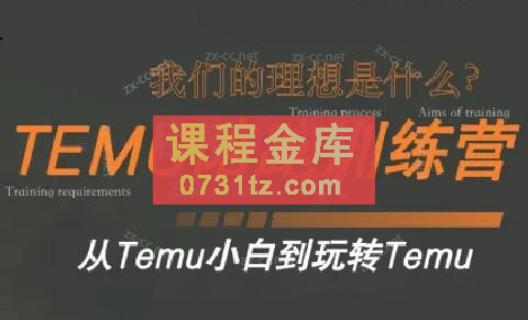 苗苗·拼多多跨境（temu）课程