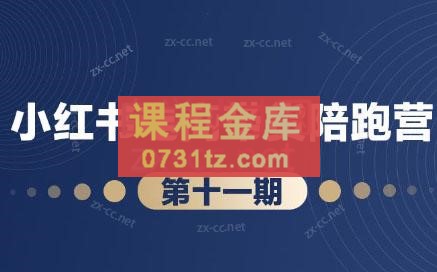 盗坤·小红书电商带货陪跑营（第十一期）