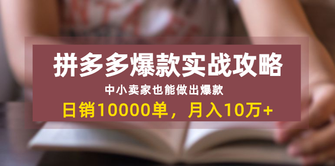 拼多多爆款实战攻略：中小卖家也能做出爆款