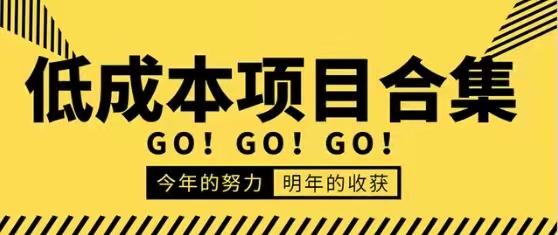 低成本零成本项目合集，价值万元资料