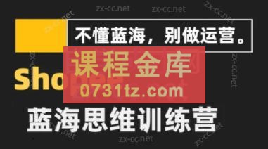 王老师·shopee蓝海思维高阶精品运营课（2023版）