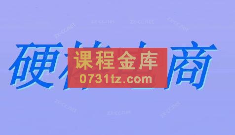 硬棒电商·精细化蓝海优选视频课程