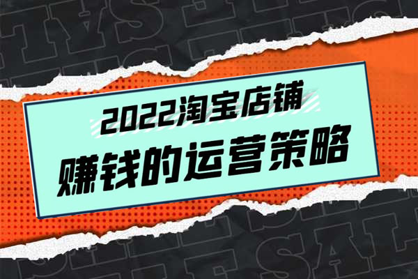 震宇老师：2022年淘宝店铺赚钱的运营策略，一套能够盈利的赚钱打法