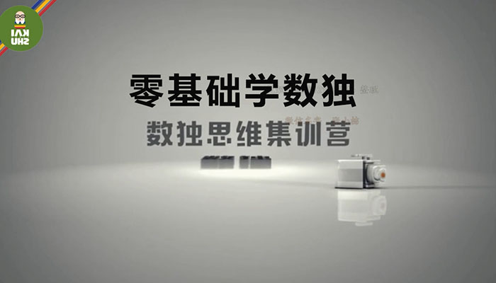 数独思维集训营：零基础学数独