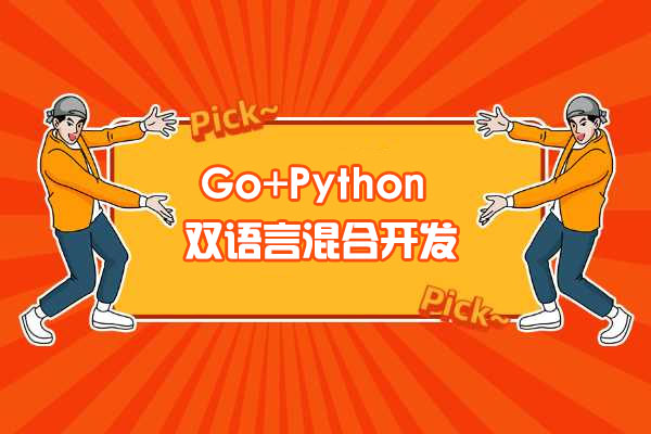 Go+Python打造电商系统，自研微服务框架视频教程