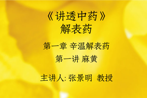 张景明：讲透中药（视频+讲义）