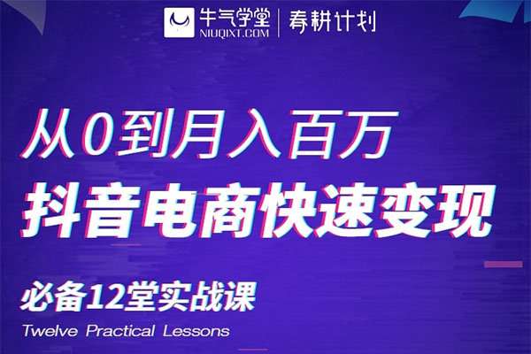 牛气学堂：从0到月入百万， 抖音电商快速变现必备12堂实战课（视频+讲义）