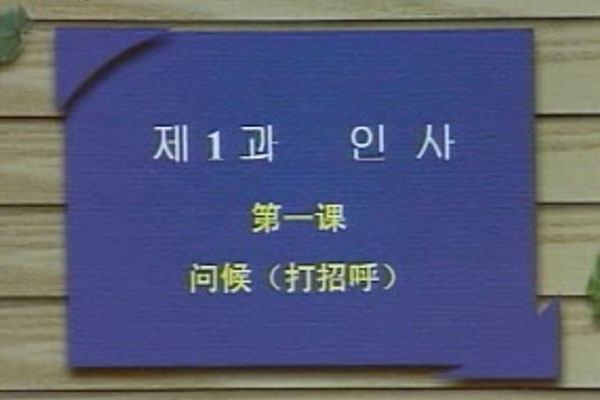 实用初级韩语视频教程