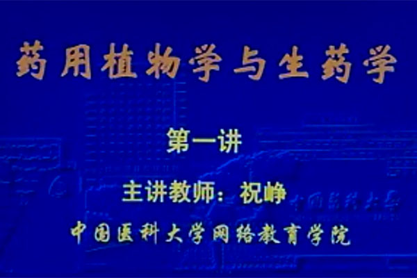 《药用植物与生药学》48讲中国医科大学祝峥