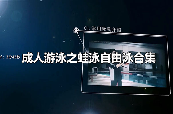 成人游泳之蛙泳自由泳合集