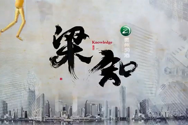 老梁（梁宏达）讲人生智慧 《梁知》