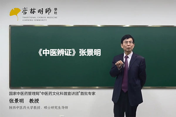 《中医辨证》张景明（视频+讲义）