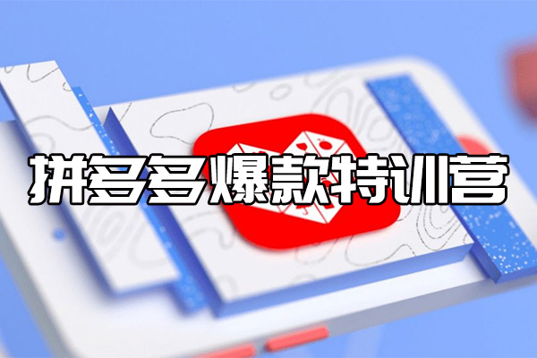 拼多多爆款特训营：全套实战干货-复盘课程！