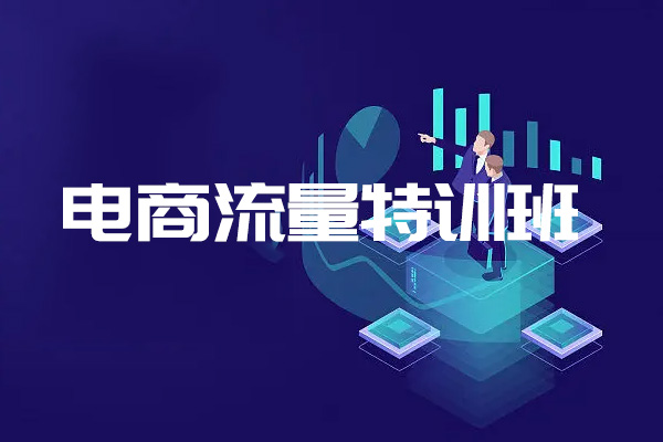 2023电商流量特训班：流量破局落地实操玩法