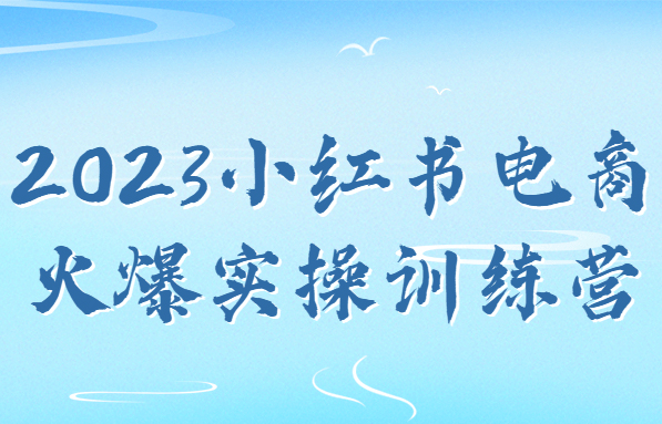 2023小红书电商实操训练营，小红书运营技巧和策略全接触