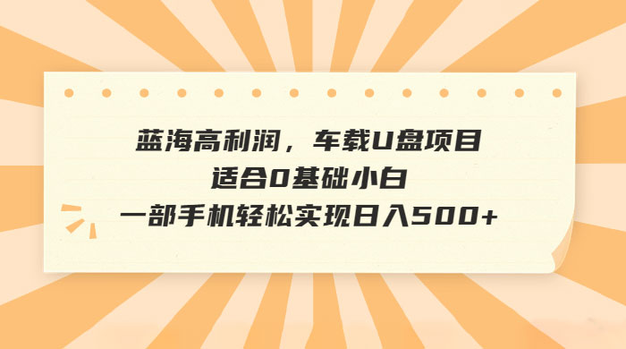 蓝海暴利项目，车载音乐U盘项目轻松日入500+（教程+素材）