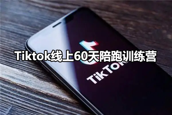 从新手到专家：Tiktok线上60天陪跑训练营