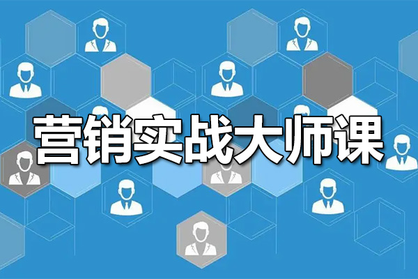 营销实战大师课：提升你的商业智慧，塑造成功品牌