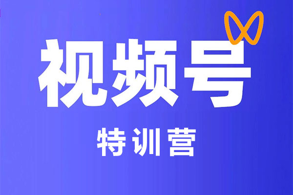 视频号运营特训营：掌握底层逻辑、私域运营与直播流量运营的全方位课程