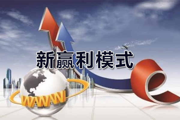 关立新《新赢利模式：打造创新商业模式，实现高效盈利》