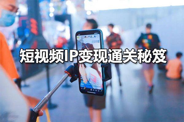 网红校长·短视频IP变现通关秘笈：从零到百万的商业机会与创作技巧全解析