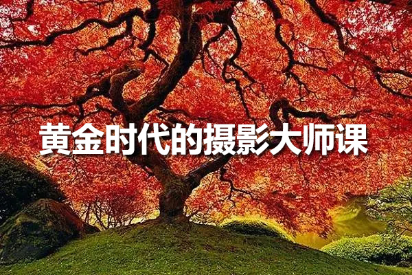 黄金时代的摄影大师课：如何从大师之作中成就自己