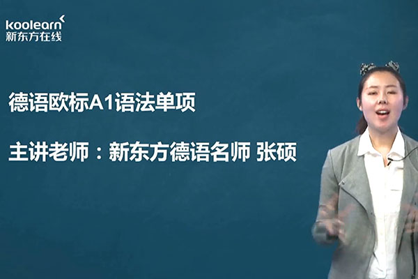 新东方在线德语欧标A1语法强化班授课老师张硕（视频+讲义）