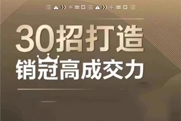 30招打造销冠高成交力：打破业绩瓶颈的终极秘籍