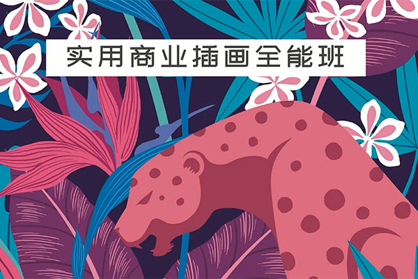 罗雨舒实用商业插画全能班（视频+资料）
