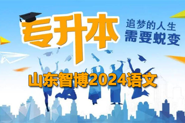 2024山东智博专升本语文网课及资料（视频+资料）