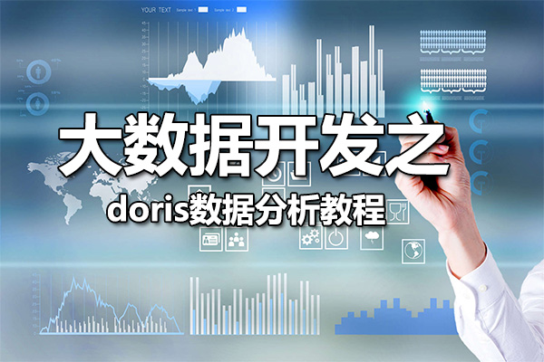 大数据开发之doris数据分析教程（视频+资料）