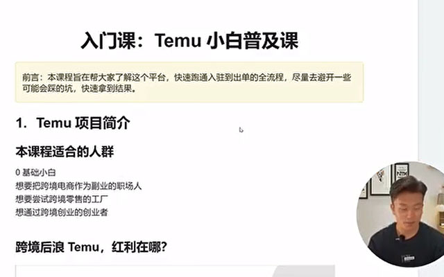 海外版拼多多Temu快速入门实操课，店铺实战从0到1