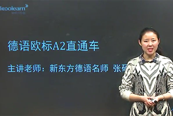 新东方德语欧标A2直通车张硕（视频+讲义）