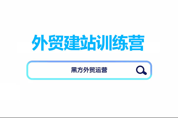 外贸建站训练营：谷歌B端独立站建站推广一体化教程