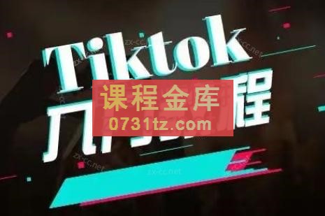 纵横跨境·2024TikTok变现实操课程