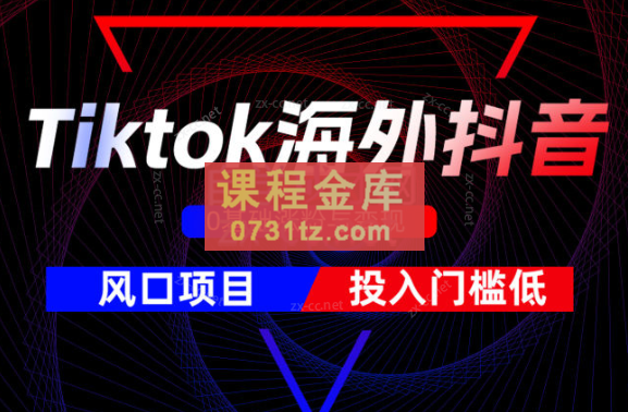 鑫老板·Tiktok海外抖音全程陪跑